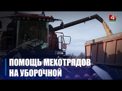 Первый агросезон на полях, мехдворах и фермах Гомельщины работают межрайонные мехотряды видео