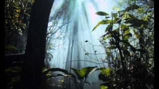 Charles Koechlin: Le Livre de la Jungle - III. La méditation de Purun Bhagat, Op.159  (1936)