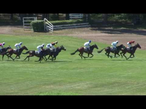 27. 5. 2017 - 3. dostih - Cena Služeb města Pardubic