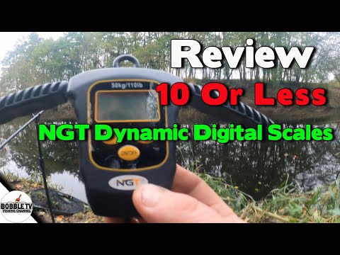 NGT Dynamic Digital Scales Review