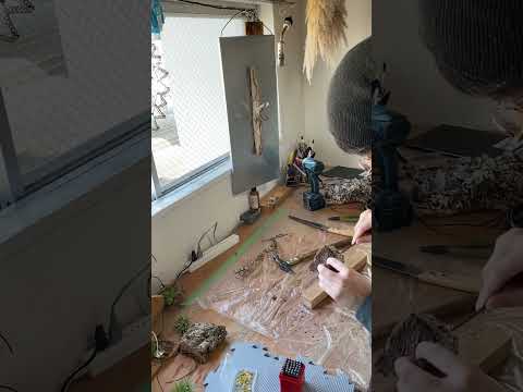 クリエイティブなアイデア: 吊り下げ式ティランジア ガーデン 植物