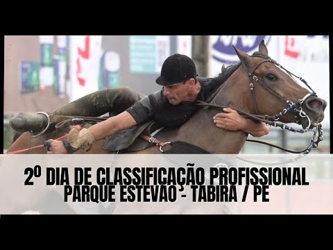 LIVE VAQUEJADA SECOND DAY OF PROFESSIONAL CLASSIFICATION PARQUE ESTEVÃO IN TABIRA