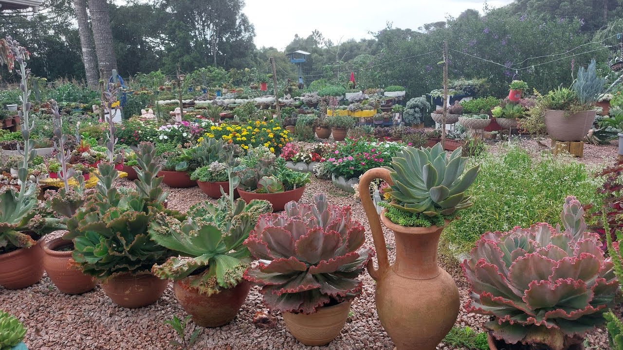 Ela fez um imenso jardim e cuida sozinha de tudo!