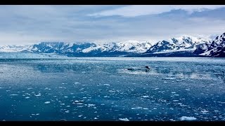 Only 5% of Our Arctic Coast Is Legally Protected (w/Guest Faith Gemmill)