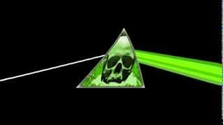 Flaming Lips Live at Bonnaroo: Silver Trembling Hands