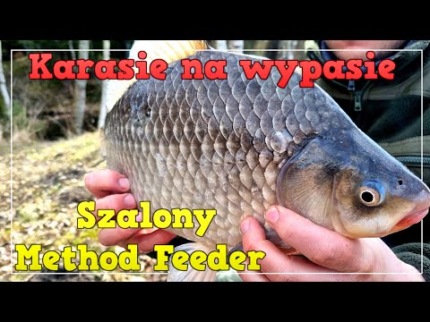 Szalony Method Feeder  / Karasie na wypasie / Łowisko Sowinko /