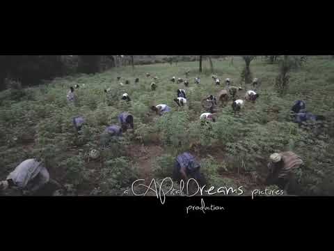 Laye swahili version- Dj Zilla