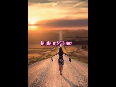 "Stellie se seënwense"