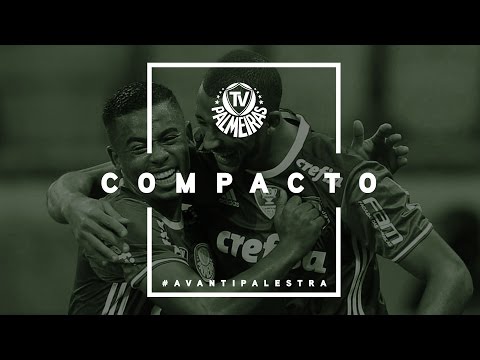 Melhores momentos - Palmeiras 2 x 0 Fluminense  - Campeonato Brasileiro 2016