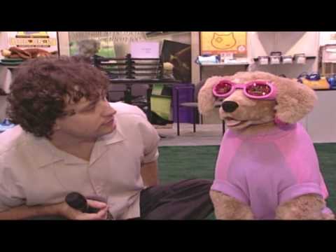 download lagu mp3 mp4 Pet Gazette, download lagu Pet Gazette gratis, unduh video klip Pet Gazette