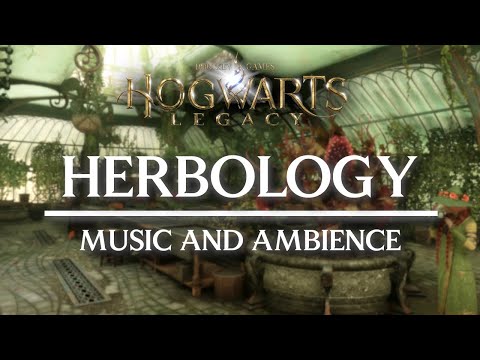 🌿 Herbology Class Ambience | Hogwarts Legacy | 3 Hours of Cozy & Magical Greenhouse Atmosphere