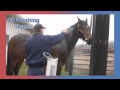 Insta Hot Equine Portable Washing System
