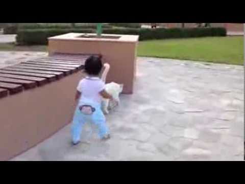 Liana Chasing the Big White Cat