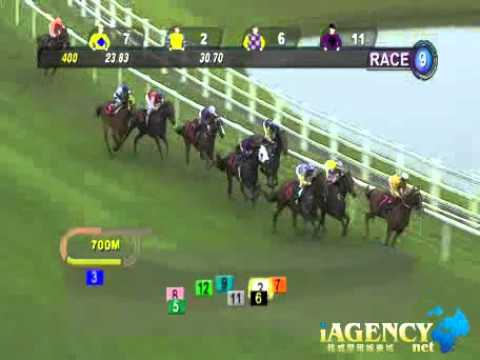 SINGAPORE RACE 17/11/2013 RACE 9 - iAgencyNet.com