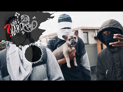 Team Double G - "Who's Hard?" S2 - Episode 16 #distinxtuk