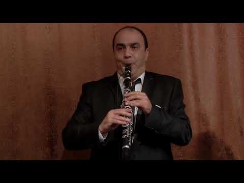 ARTUR VARDANYAN KLARNET LIVE CONCERT 2017 +79104737474
