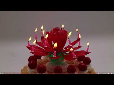 Magical Singing Lotus Birthday Candle