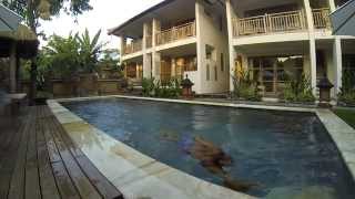 preview picture of video 'Papaya Guesthouse Canggu Bali'