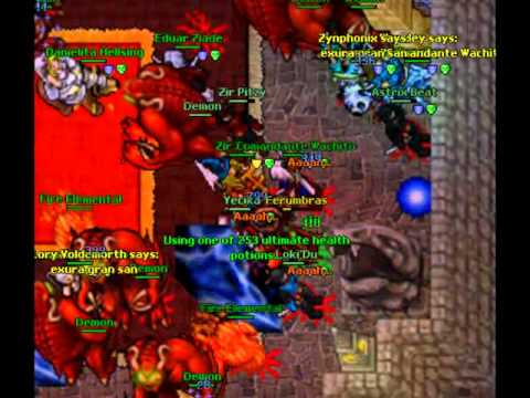 Vinera Ferumbras 2° / 2011