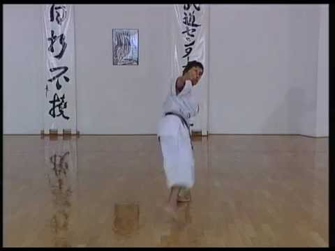 Gankaku - Efthimios Karamitsos - Karate - Kata - Shotokan