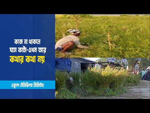 কাজ না থাকলে ঘাস কাটা এখন আর কথার কথা নয় | ETV News