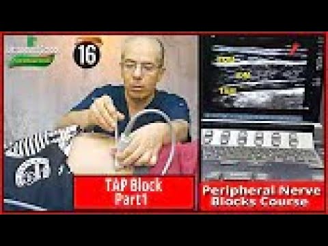 Basic Physics of Ultrasound Part 1 Mohamed Hamada 1