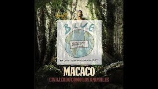 Macaco -JM#Serrat y J Drexler  - Blue - (Diminutivo planeta azul) (2019)., introducción de JM#Serrat
