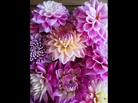 I still can not believe who they wanted me to channel !!!  and what did they call us !!!!! TRIGGERED