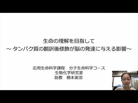 脳の発達を制御する遺伝子の機能解析