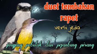 Download lagu Duet tembakan rapet 🔥🔥 jingjing petulak dan pijantung pisang mp3 Download lagu Duet tembakan rapet 🔥🔥 jingjing petulak dan pijantung pisang mp3