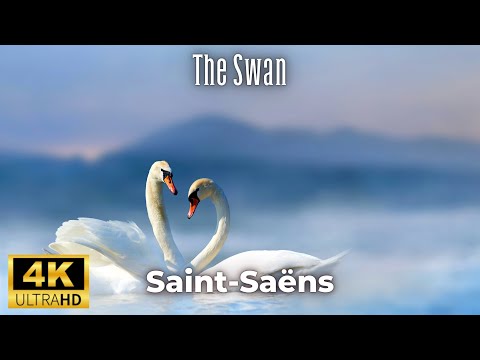 Saint-Saëns – The Swan (Le Cygne) | A Graceful Journey Through Music and Motion