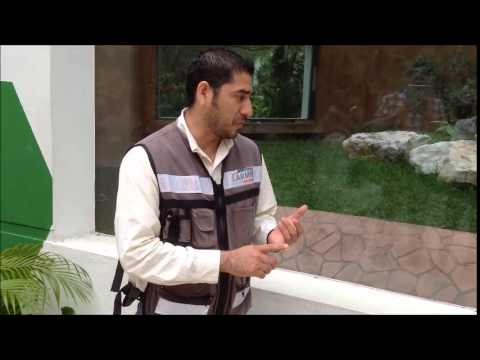 download lagu mp3 mp4 Veterinaria Ciudad Del Carmen, download lagu Veterinaria Ciudad Del Carmen gratis, unduh video klip Veterinaria Ciudad Del Carmen