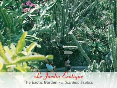 les jardins de Monaco - Monaco's garden