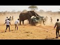Incredible Safari Moments Caught On Camera