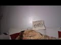 LIVE SLEEPING SNORING ASMR LIVE SLEEPING ASMR SLEEP
