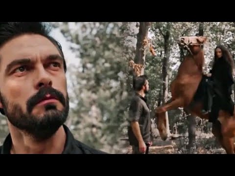 POSLJEDNJI POZIV OD PRODUCENTA! SILA DODJI NASTAVI TAMO GDJE SMO STALI