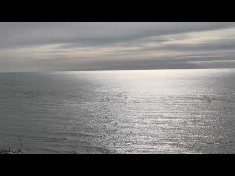 Обзор смартфона vivo X300 Pro: маленькие изменения, которые ведут к большому результату / Смартфоны 3DNews - Daily Digital Digest