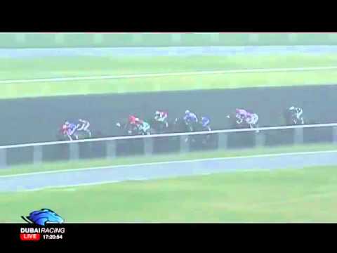 17.02.2012 Meydan (Dubai UAE) 5.Race S O G Logistics - Handicap 1.400 m