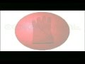 Ceremonial Contemporary Native Art Exhibition Venice Biennale 1999