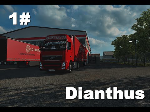 1#Dianthus - From Slovenia back to Romania