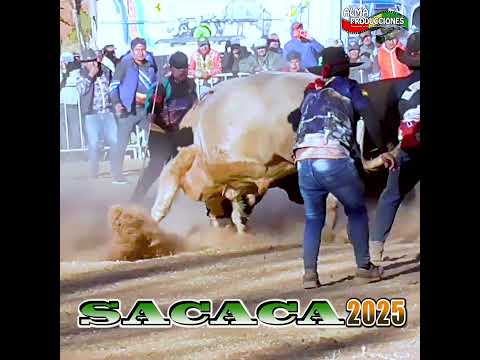 La fiesta de San Isidro SACACA 2026 T5, "Negro Loco-Cholo Veloz".  #almaproduccionesbolivia #shorts