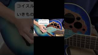 コイスルオトメ　ギター弾き語りサビ