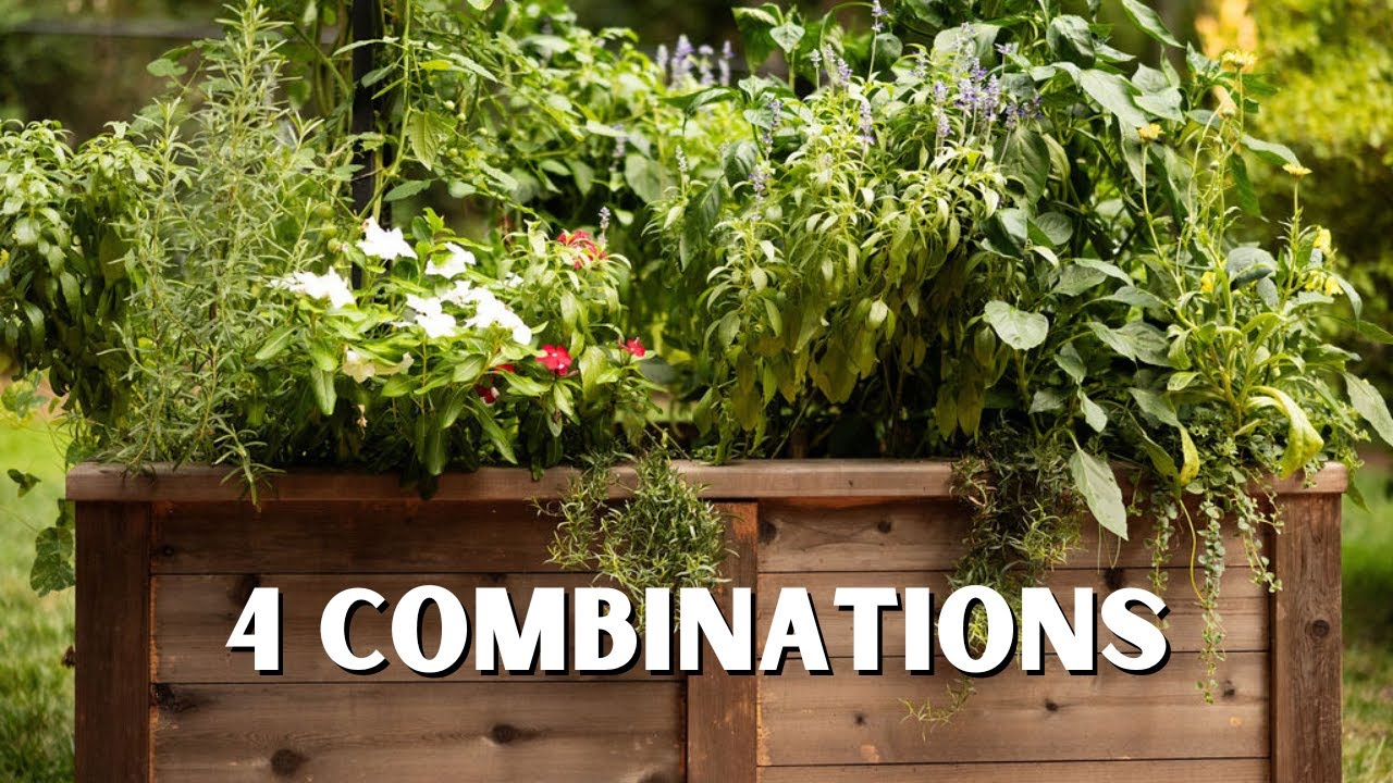 Summer Companion Planting Plans That Actually Work