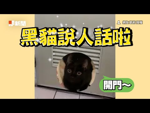 黑貓會