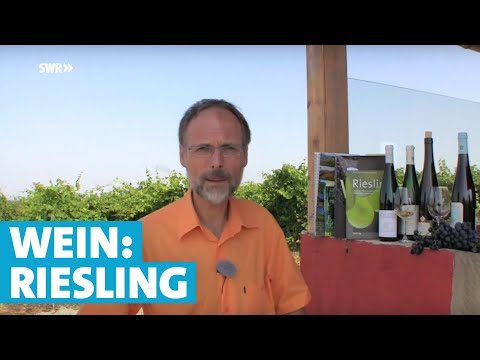 Werner erklärt Wein: Riesling