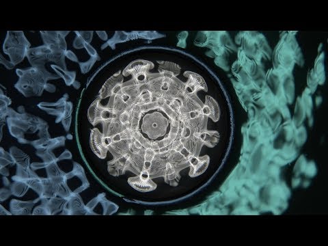 Carolina Eyck & Eversines - Circles - official video