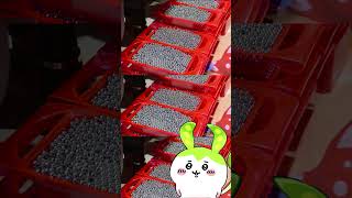 ずんだ門ネットの海7