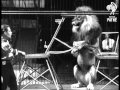 Rope Walking Lion 1950