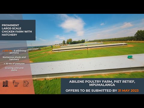 The Property Dealroom - Abilene Poultry Farm, Piet Retief, Mpumalanga