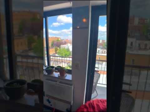 video 1